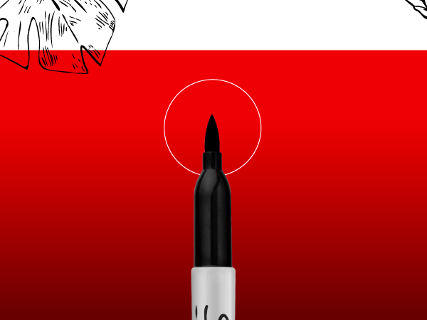 Sharpie Permanent Markers, Fine Tip, Red, 36 Count - Marks on Paper, Plastic, Metal, Wood, Perfect for Drawing, Coloring, Posters, Home, Office Supplies