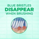 gum-technique-deep-clean-toothbrush---co-6.jpg