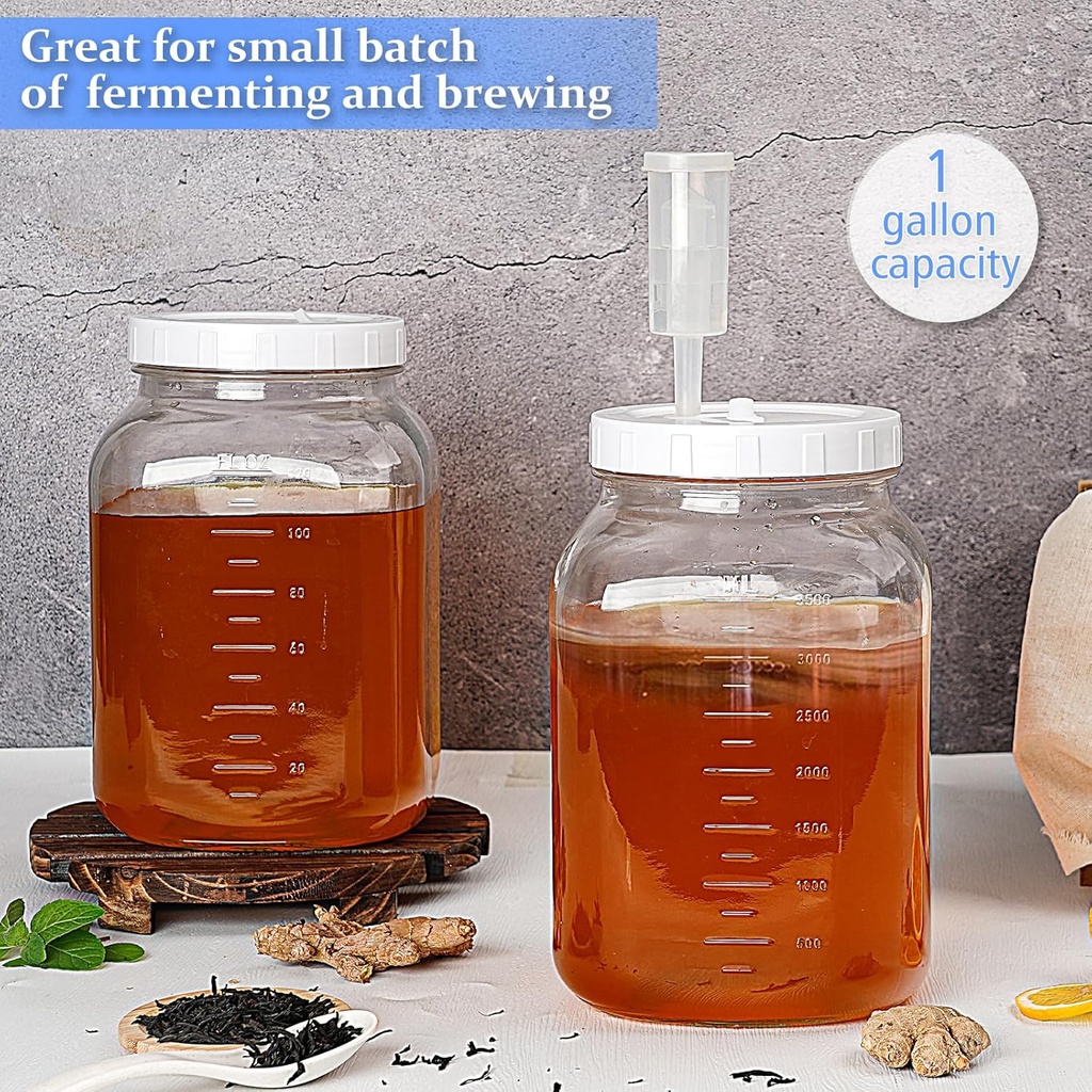 2-pack-1-gallon-large-fermentation-jars--2.jpg