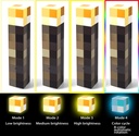 light-up-wall-torch---batteries-usb-plug-2.jpg
