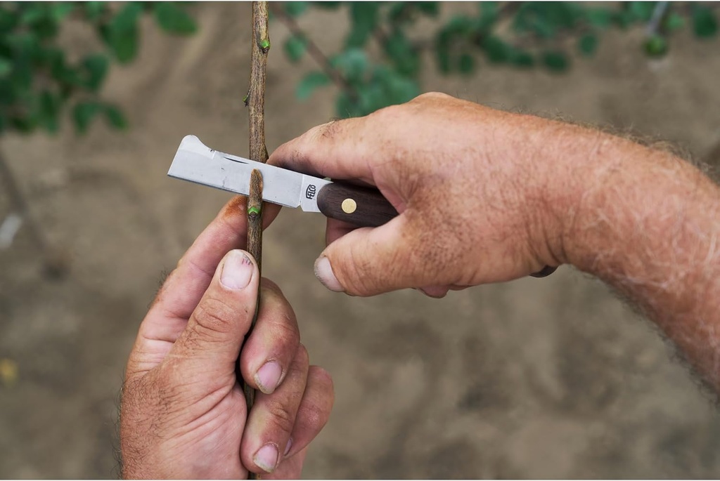 felco-budding-and-grafting-knife-6.jpg