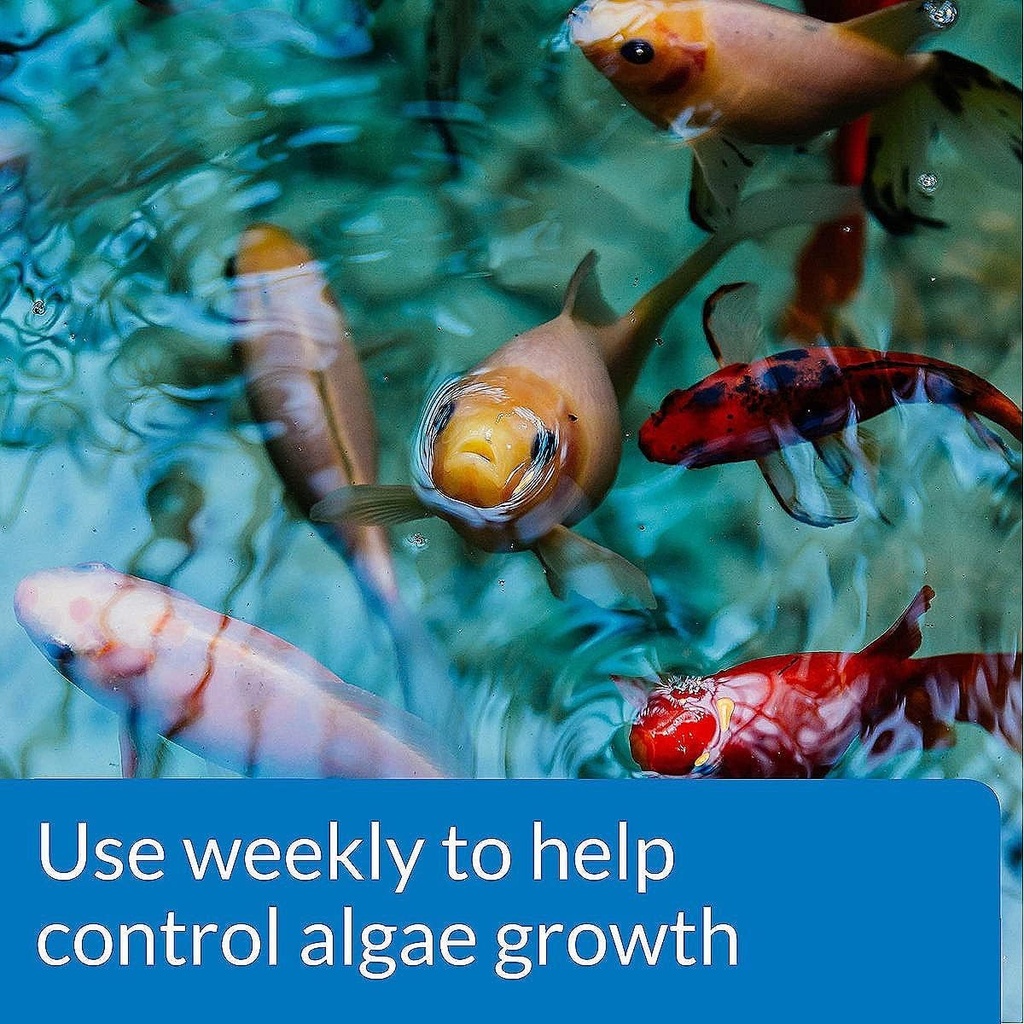 api-pond-algaefix-algae-control-32-ounce-3.jpg