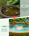 bird-bath-purification-disk-pure-copper--3.jpg