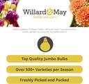 complete-spring-flower-bulb-garden---50--2.jpg