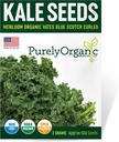 Organic Kale Seeds (Vates Blue Scotch Curled) - Approx 500 Seeds - USDA Organic, Non-GMO, Open Pollinated, Heirloom, USA Origin