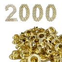 1/4” Size #0 Grommets & Washers Kit Leather Bags Signs Poster Eyelet 2000 Pack Gold