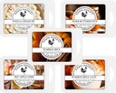 Farm Raised Candles Fall Soy Wax Melts - USA Made - Bakery 5-Pack: Pumpkin Spice, Pumpkin Spice Latte, Hot Apple Cider, Vanilla Cream Pie, Warm Butterscotch - 3oz Each - 16 Ounces Total