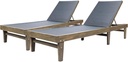 Christopher Knight Home Shiny Outdoor Wood Chaise Lounge (Set of 2), Grey Finish/Dark Grey Mesh