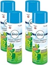BISSELL Heavy Traffic Carpet Foam, Gain, 22oz (Pack of 4), 14399